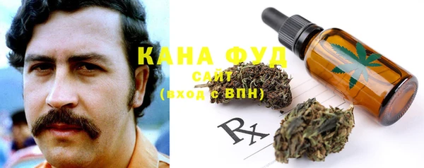 гидра Михайлов