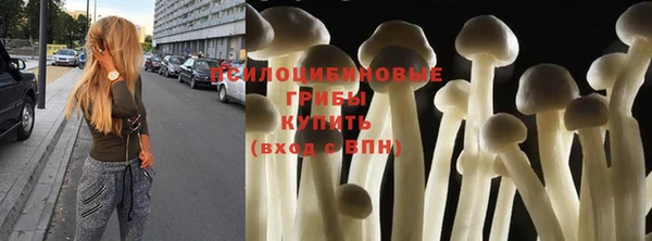 сатива Михайловка