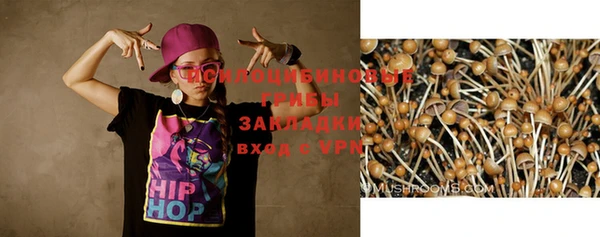 сатива Михайловка