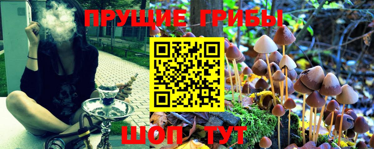 Псилоцибиновые грибы GOLDEN TEACHER  Галлюциногенные грибы GOLDEN TEACHER  Вход с VPN  Анапа 