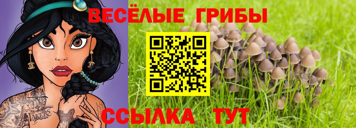 Галлюциногенные грибы мухоморы Анапа