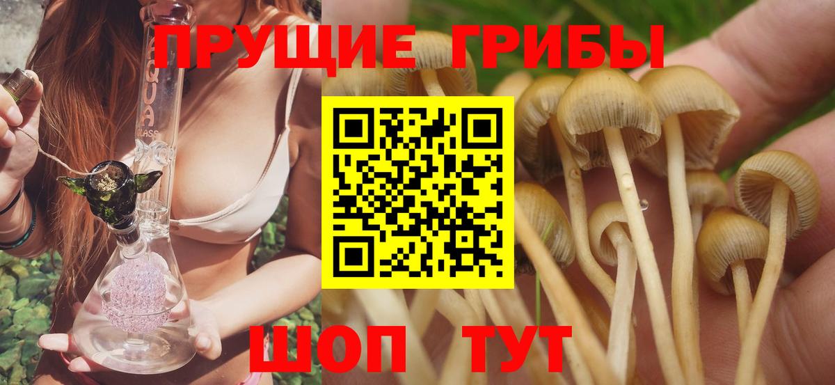 Псилоцибиновые грибы прущие грибы  Вход с VPN  хочу наркоту  Анапа 