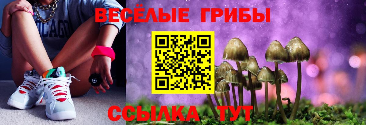 ГАШИШ Анапа