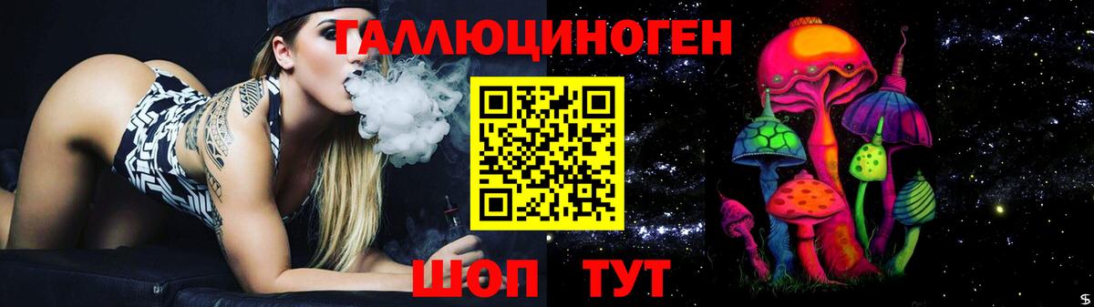 где продают   Анапа  Галлюциногенные грибы Psilocybe 